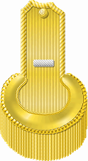 Officer's epaulette