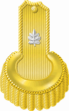 Officer's epaulette