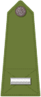 Officer's shoulder strap