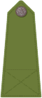 Officer's shoulder strap