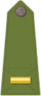 Officer's shoulder strap