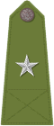 Officer's shoulder strap