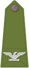 Officer's shoulder strap