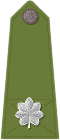 Officer's shoulder strap