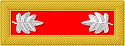 Officer's shoulder strap