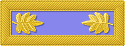 Officer's shoulder strap