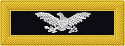 Officer's shoulder strap