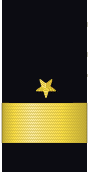 sleeve insignia