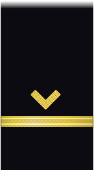 sleeve insignia