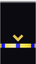 sleeve insignia