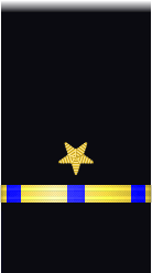 sleeve insignia