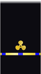 sleeve insignia