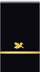 sleeve insignia