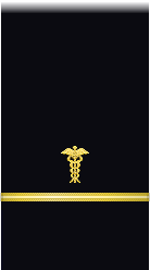 sleeve insignia