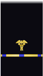 sleeve insignia