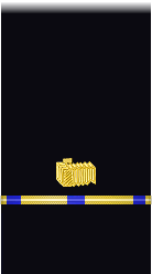 sleeve insignia