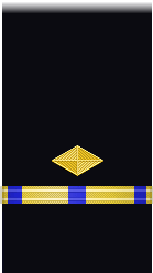 sleeve insignia