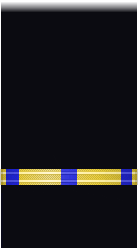 sleeve insignia