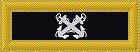 collar insignia