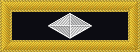 collar insignia