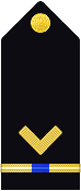 shoulder insignia