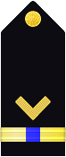 shoulder insignia