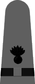 shoulder insignia