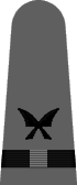 shoulder insignia