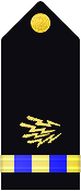 shoulder insignia