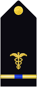 shoulder insignia