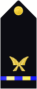 shoulder insignia