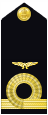 shoulder insignia