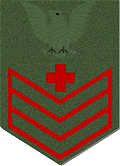 USMC green rating badge