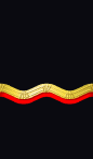 sleeve rank insignia