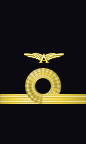 sleeve insignia
