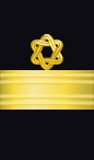 sleeve rank insignia