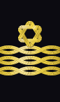 sleeve rank insignia