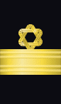 sleeve rank insignia