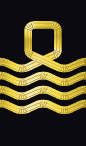 sleeve rank insignia