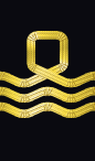 sleeve rank insignia