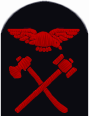 Sleeve insignia