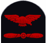 Sleeve insignia