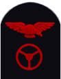 Sleeve insignia