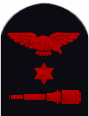 Sleeve insignia