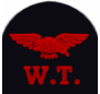 Sleeve insignia