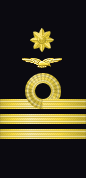 Sleeve insignia