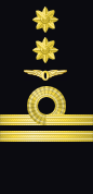 Sleeve insignia