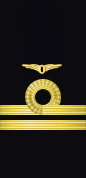 Sleeve insignia