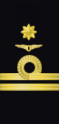 Sleeve insignia