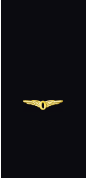 Sleeve insignia